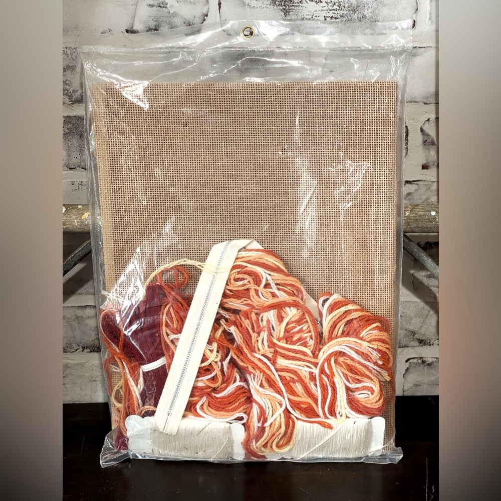 Vintage Bucilla 4803 Harmony Pulled Thread Needlepoint Pillow Kit Sealed Boho - Picture 2 of 3